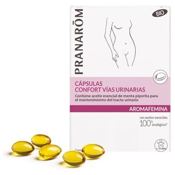 fitoterapia-vias-urinarias