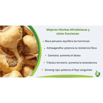 fitoterapia-vida-sexual